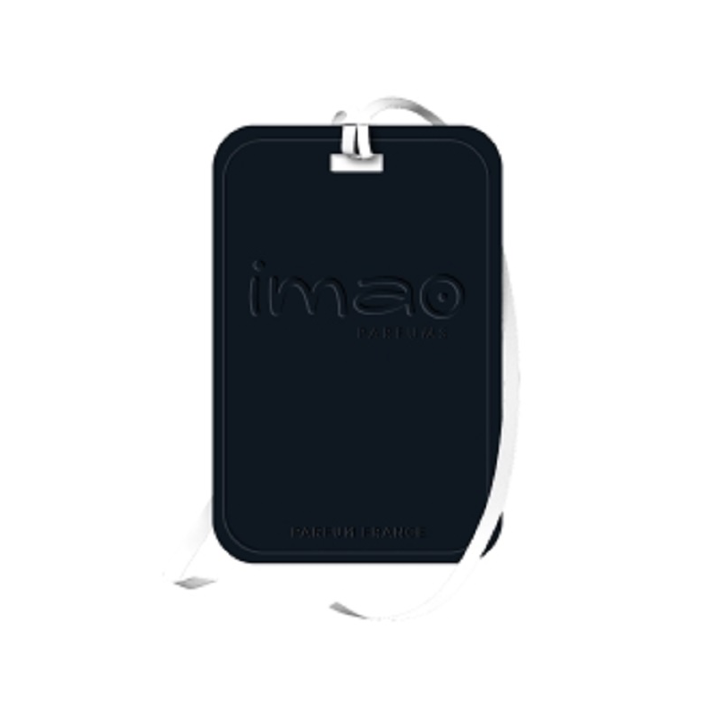 IMAO Voyage New York